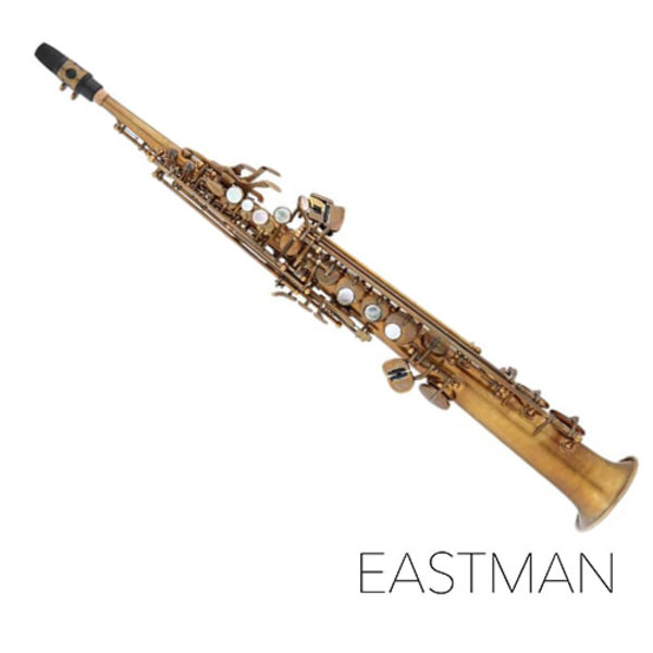 이스트만 소프라노 색소폰 ESS652